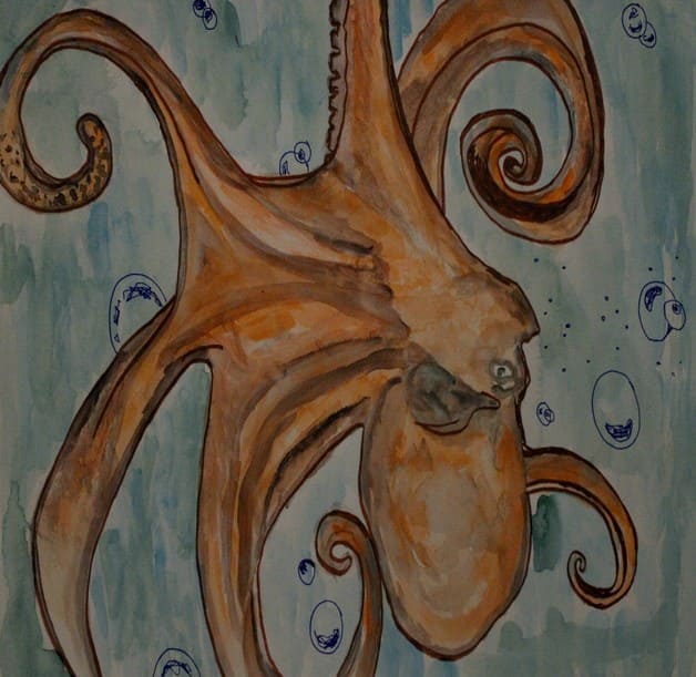 octopus